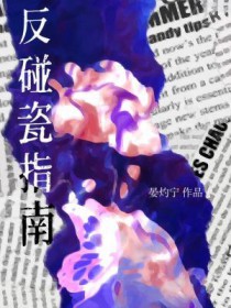 反碰瓷指南 反碰瓷指南