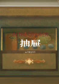 抽屉(亲姐弟) 抽屉(亲姐弟)