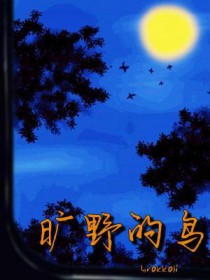 旷野的鸟 旷野的鸟