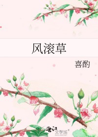 风滚草 风滚草