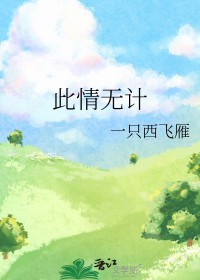 此情无计 此情无计