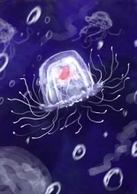 小水母的海底历险记 小水母的海底历险记