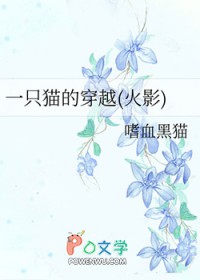 一只猫的穿越 一只猫的穿越