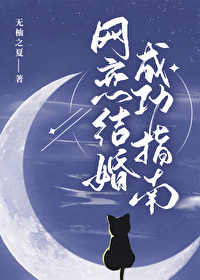 网恋结婚成功指南 网恋结婚成功指南