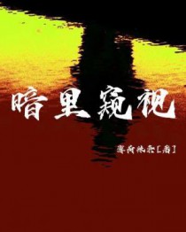 暗里窥视 暗里窥视