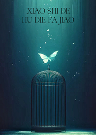 消失的蝴蝶发夹 消失的蝴蝶发夹