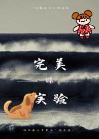 完美实验 完美实验