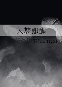 入梦即醒 入梦即醒