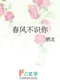 春风不识你 春风不识你