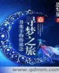 月光下的传说1启梦